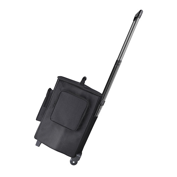 NUX SA-100 Acoustic Amplifier