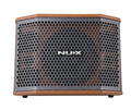 NUX SA-100 Acoustic Amplifier